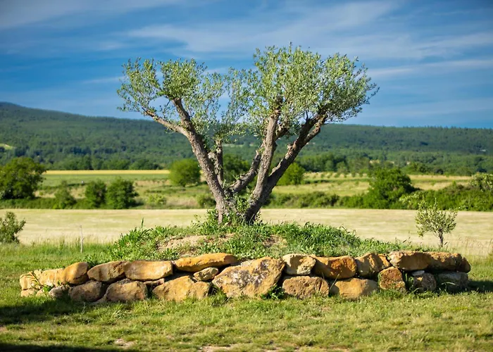 Holiday home La Roulotte, Confort - Chevaux & Cuisine Equipee Montlaux